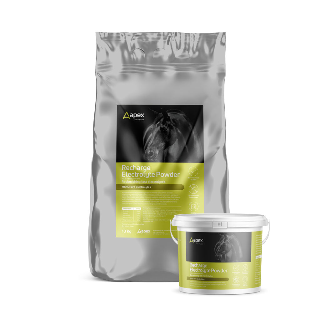 Apex Recharge Electrolyte Powder For Horses