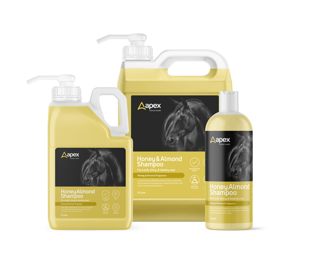 Apex Honey and Almond Shampoo For Horses