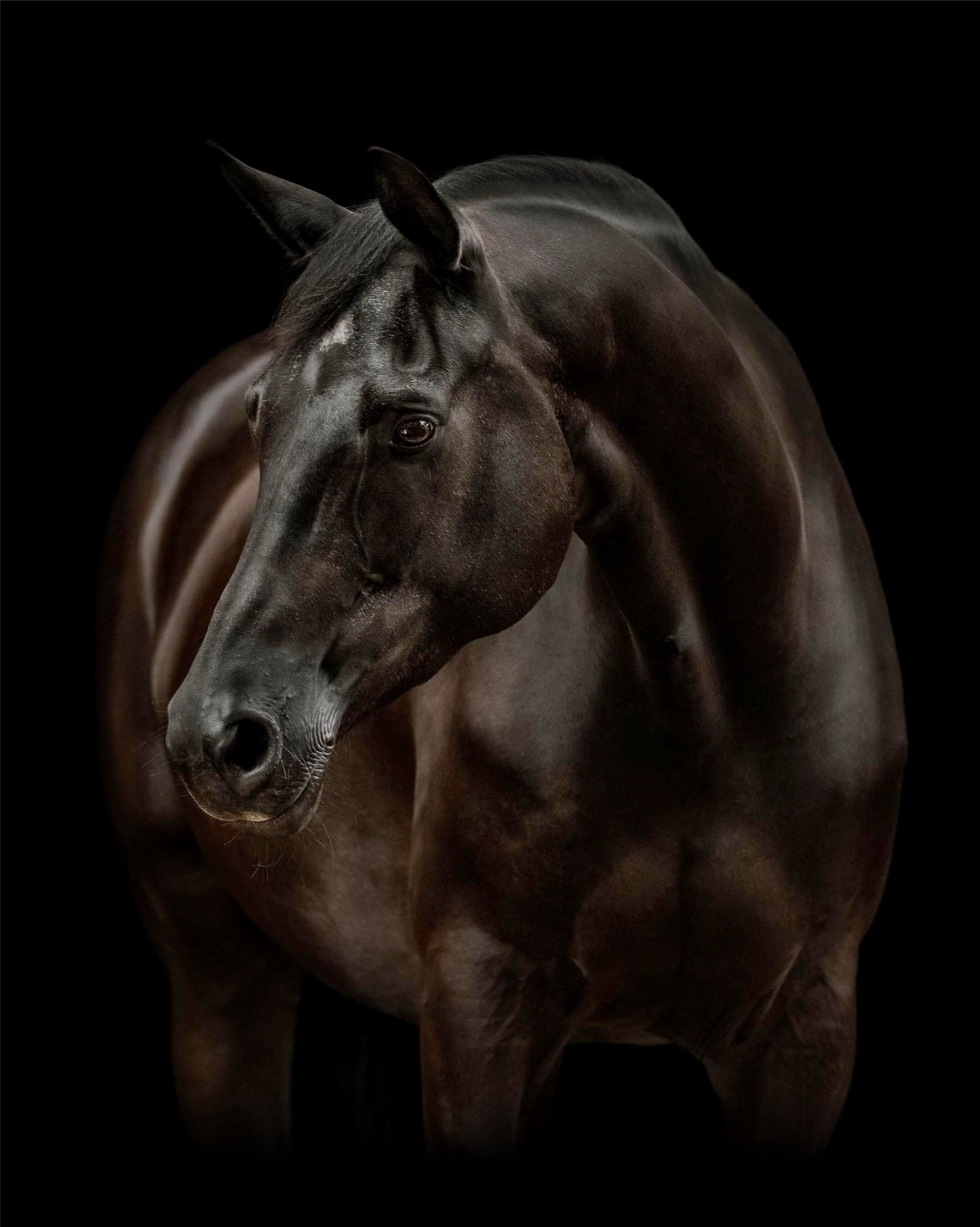 Apex Elite Multi-Vitamin Pellets For Horses