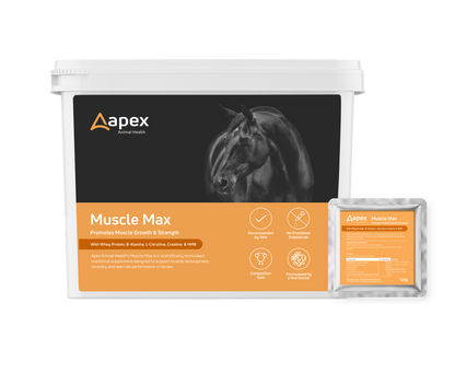 Apex Muscle Max For Horses (60 x 125g Sachets)