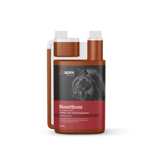 Apex Blood Boost For Horses - 1lt