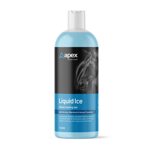 Apex Herbal Liquid Ice For Horses - 1lt