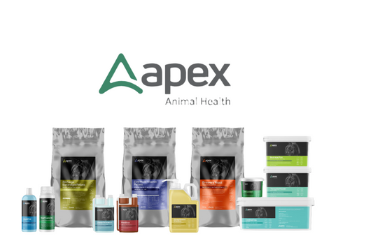 Apex Blood Boost For Horses - 1lt