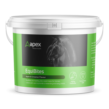 Apex Healthy EquiBites Treats For Horses - 1kg