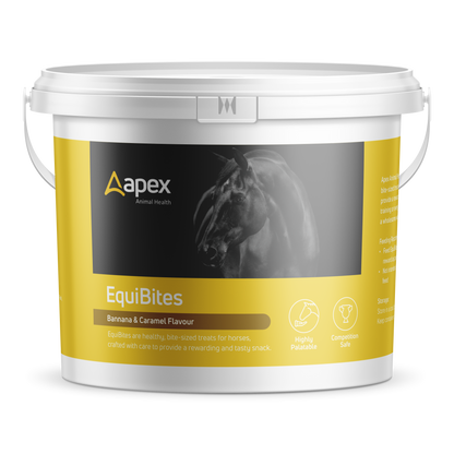 Apex Healthy EquiBites Treats For Horses - 1kg