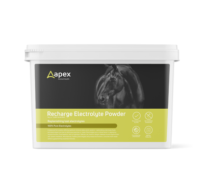 Apex Recharge Electrolyte Powder For Horses