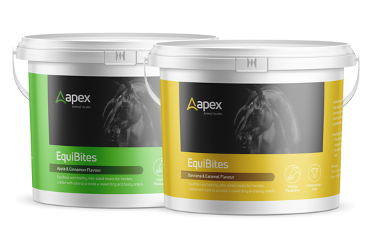 Apex Healthy EquiBites Treats For Horses - 1kg
